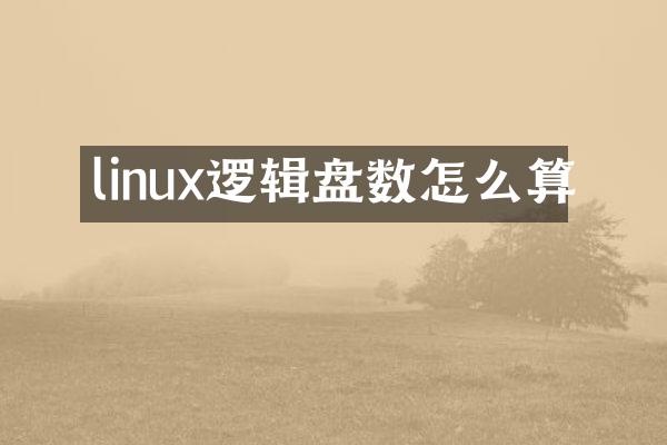 linux逻辑盘数怎么算