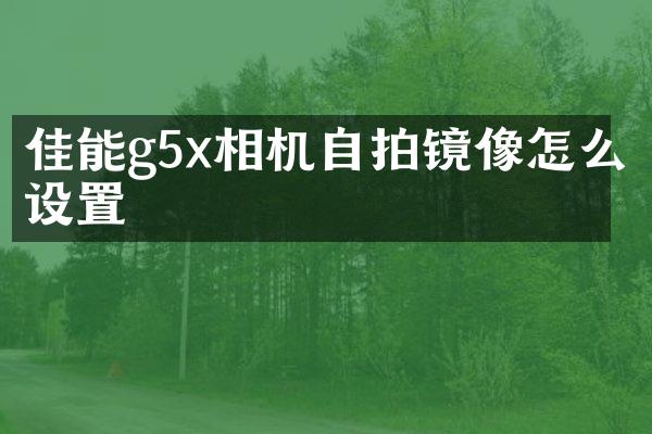 佳能g5x相机镜像怎么设置