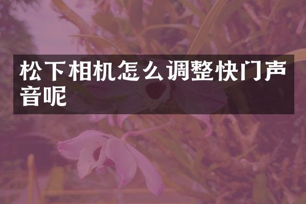 相机怎么调整快门声音呢