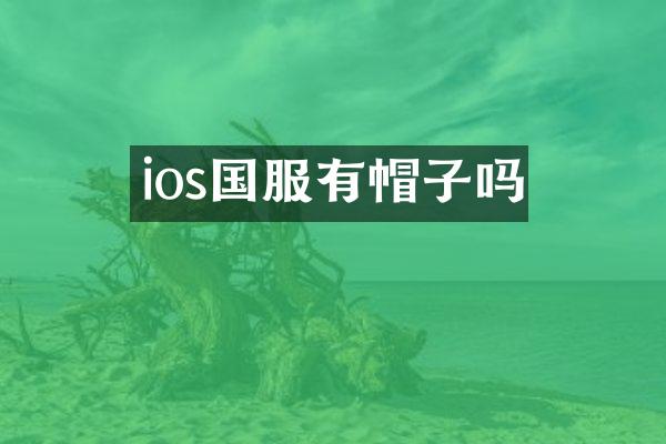 ios国服有帽子吗
