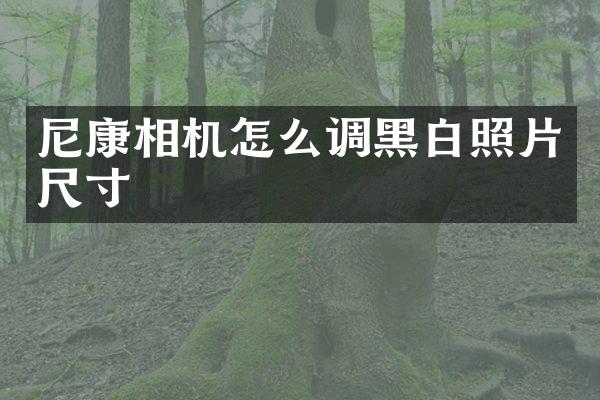 尼康相机怎么调黑白照片尺寸