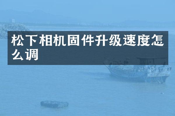 相机固件升级速度怎么调