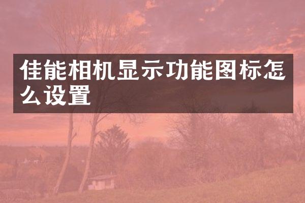 佳能相机显示功能图标怎么设置