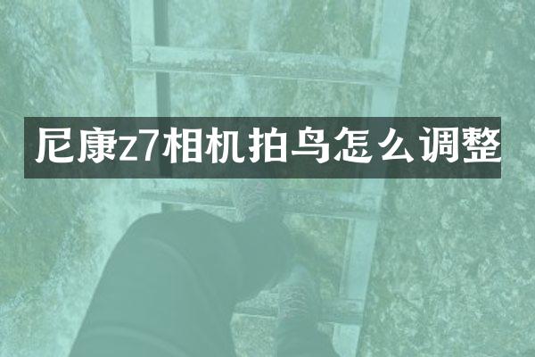 尼康z7相机拍鸟怎么调整