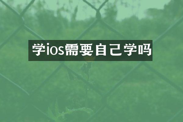 学ios需要自己学吗