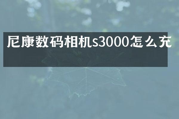 尼康数码相机s3000怎么充电