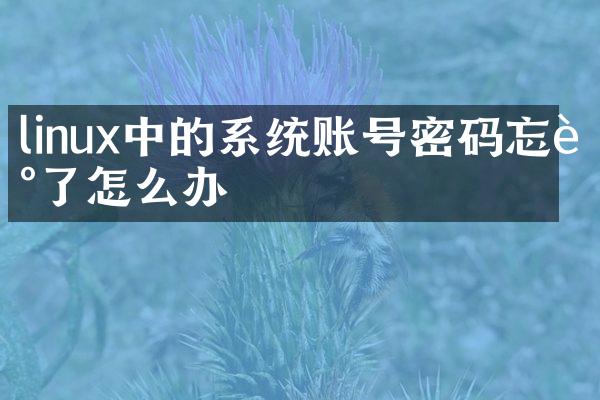 linux中的系统账号密码忘记了怎么办