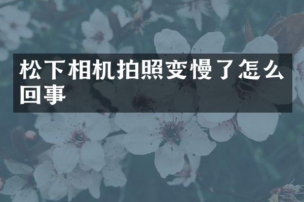 相机拍照变慢了怎么回事