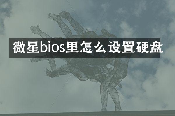 微星bios里怎么设置硬盘