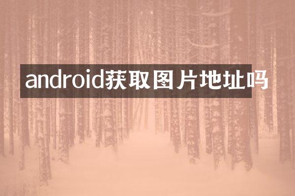 android获取图片地址吗