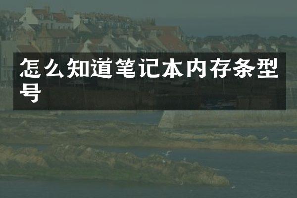怎么知道笔记本内存条型号