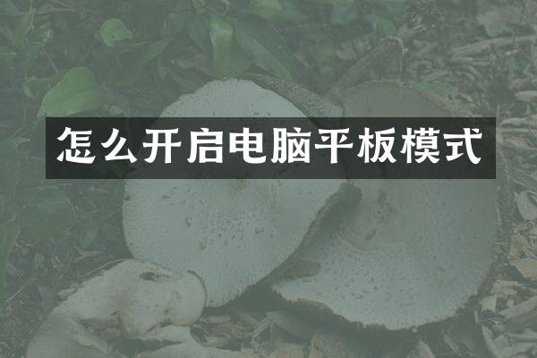怎么开启电脑平板模式
