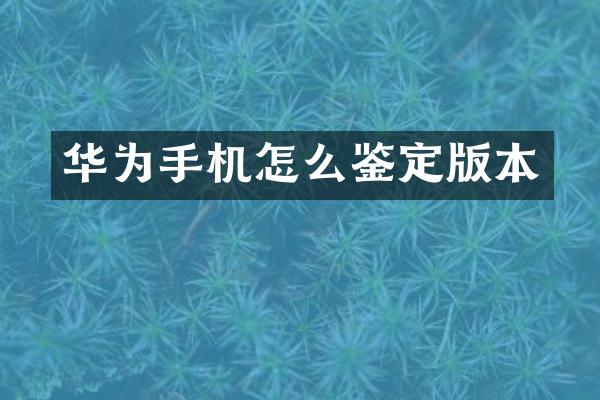 华为手机怎么鉴定版本