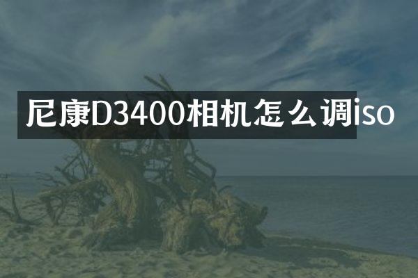 尼康D3400相机怎么调iso