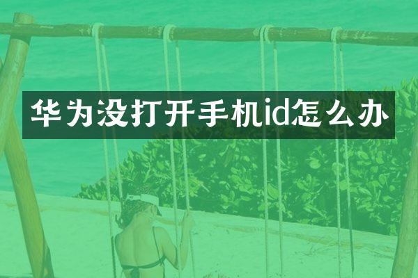 华为没打开手机id怎么办