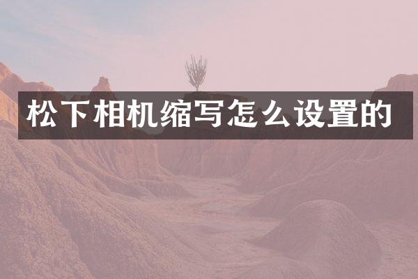 相机缩写怎么设置的