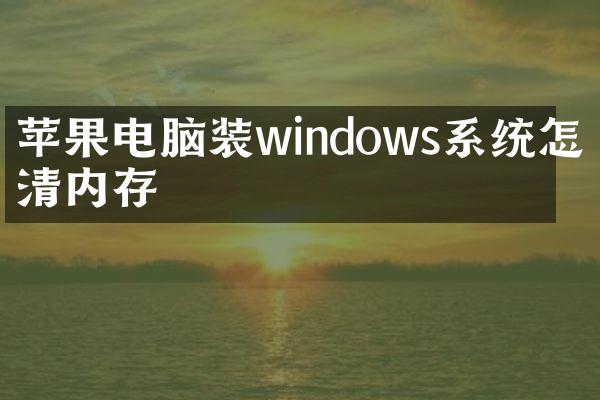 苹果电脑装windows系统怎么清内存