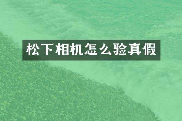 相机怎么验真假