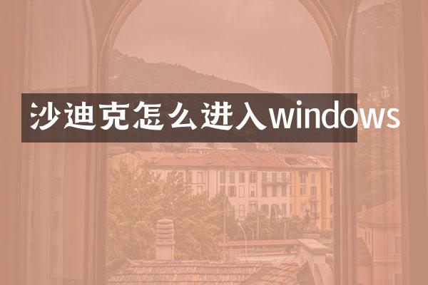 沙迪克怎么进入windows