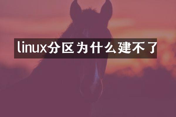 linux分区为什么建不了