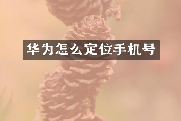 华为怎么定位手机号