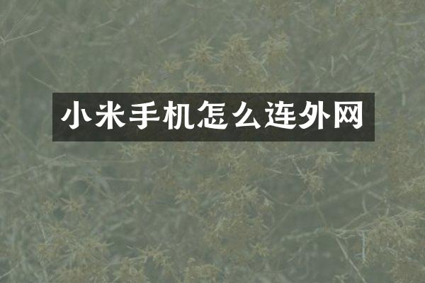 小米手机怎么连外网