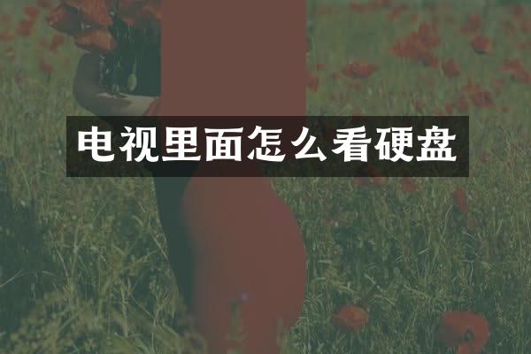 电视里面怎么看硬盘