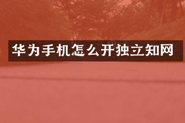 华为手机怎么开独立知网