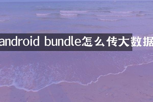 android bundle怎么传大数据