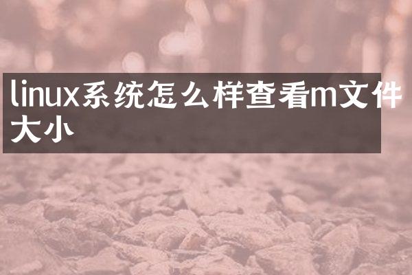 linux系统怎么样查看m文件大小