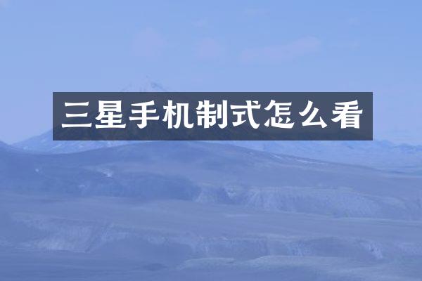三星手机制式怎么看