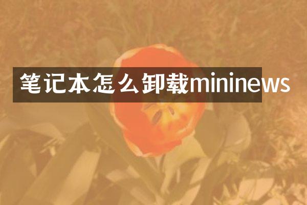 笔记本怎么卸载mininews