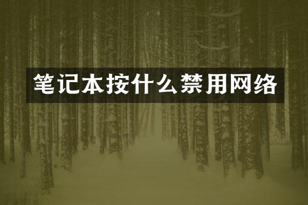 笔记本按什么禁用网络