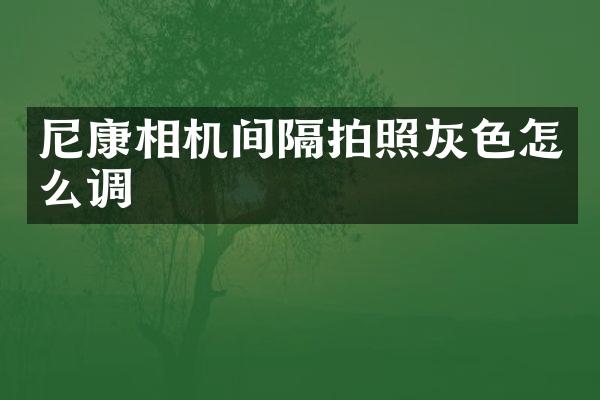 尼康相机间隔拍照灰色怎么调