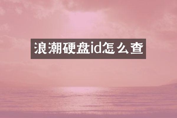 浪潮硬盘id怎么查