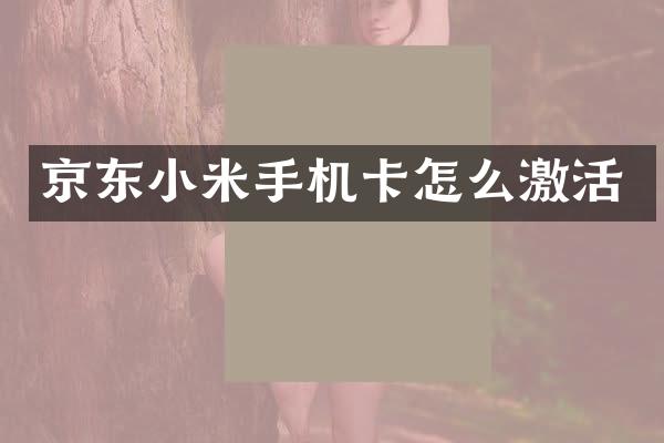 京东小米怎么激活