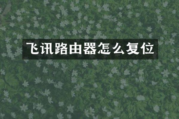 飞讯路由器怎么复位