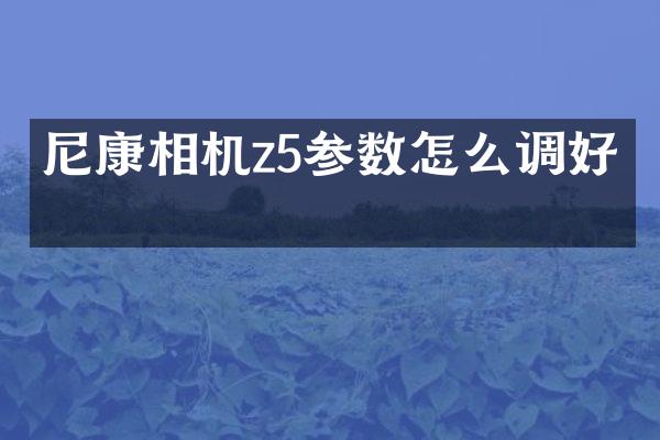 尼康相机z5参数怎么调好看