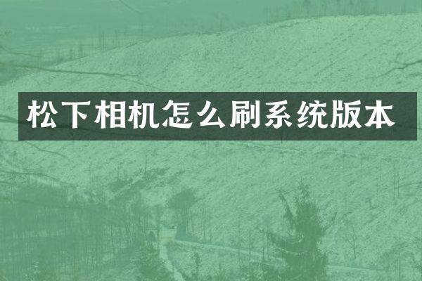 相机怎么刷系统版本