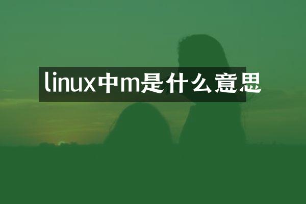 linux中m是什么意思