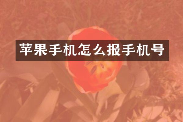 苹果手机怎么报手机号