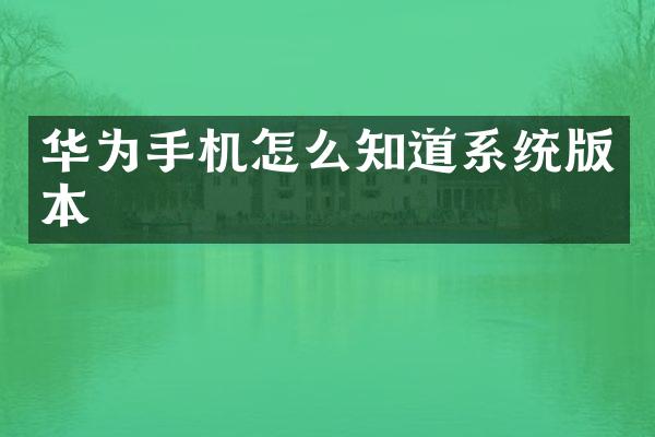 华为手机怎么知道系统版本