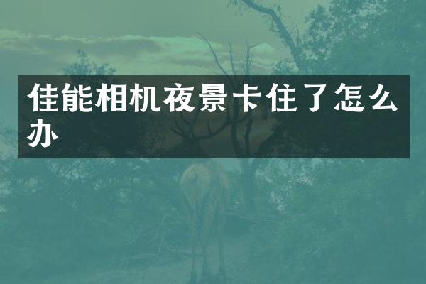 佳能相机夜景卡住了怎么办