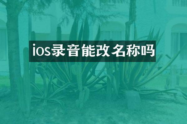 ios录音能改名称吗