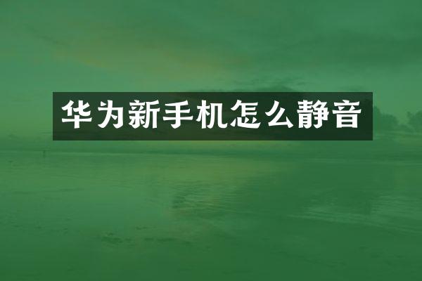 华为新手机怎么静音