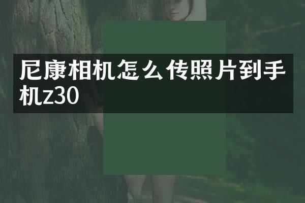 尼康相机怎么传照片到手机z30