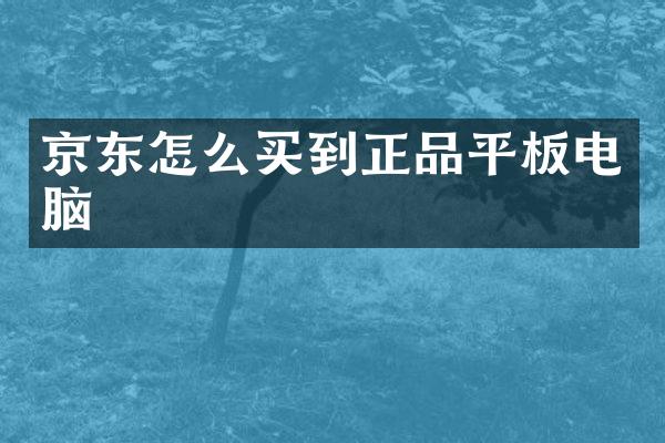 京东怎么买到正品平板电脑
