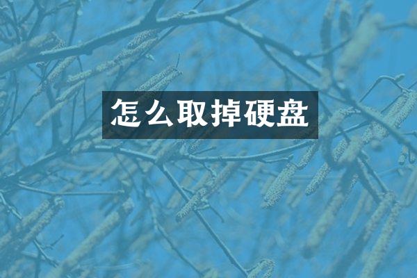 怎么取掉硬盘