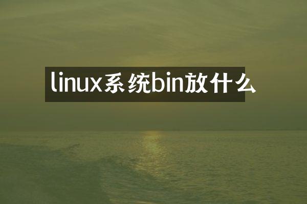 linux系统bin放什么