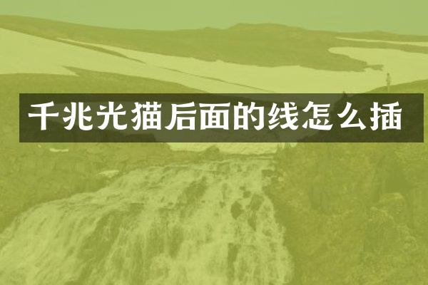 千兆光猫后面的线怎么插